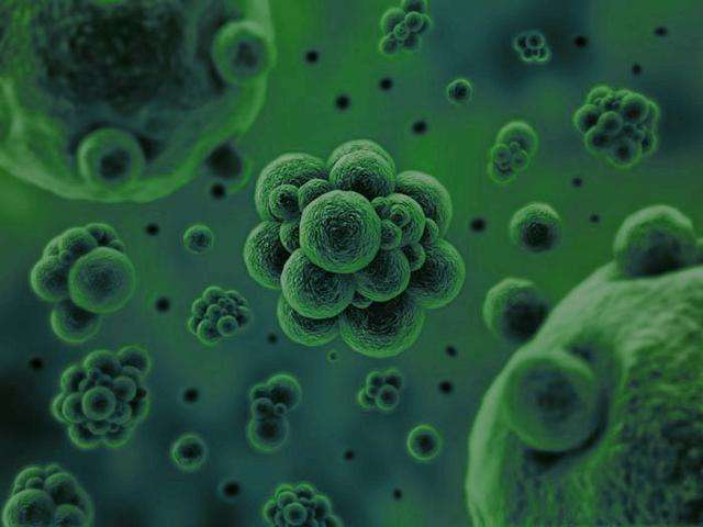 微生物是通過何種方式將廢水中的污染物分解去除掉的？