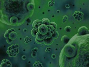微生物是通過何種方式將廢水中的污染物分解去除掉的？